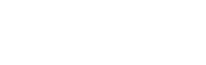 Valvira logo